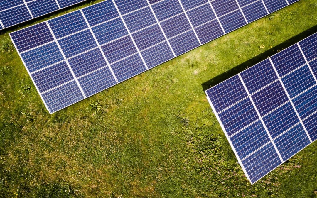 Restoring ecosystems with solar panels