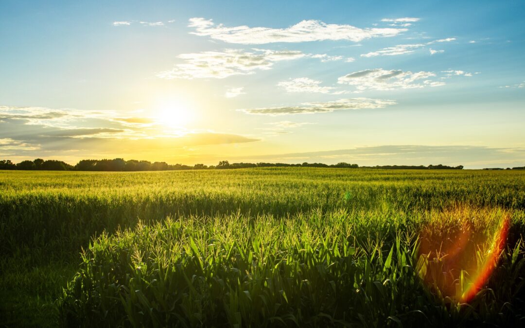 How Iowa became a leader in wind power