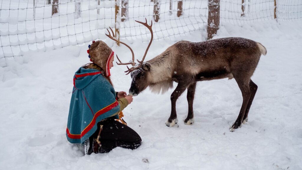 Sami woman with reindeer